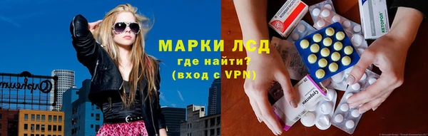 прущие грибы Горняк