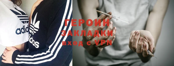 прущие грибы Горняк