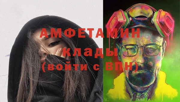 шишки Медвежьегорск