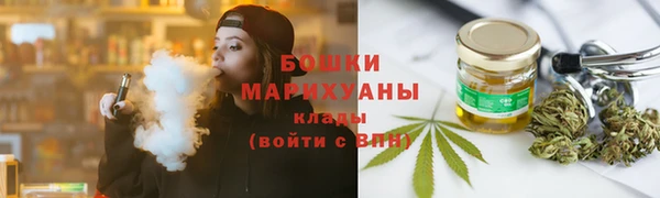 прущие грибы Горняк