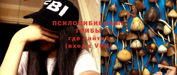 прущие грибы Горняк