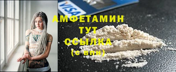 прущие грибы Горняк