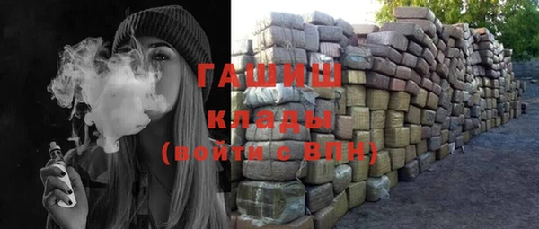 шишки Медвежьегорск