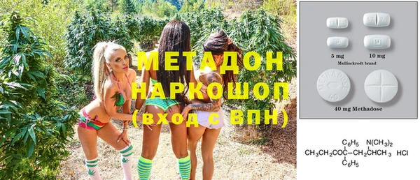 прущие грибы Горняк
